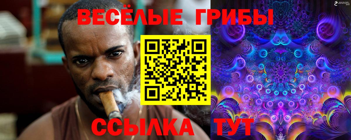 Галлюциногенные грибы Cubensis Богородск